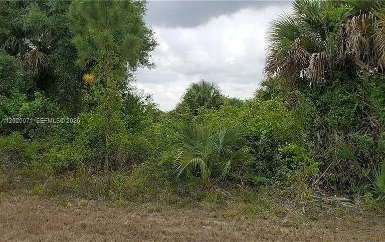 523 Montclair ave s, Lehigh Acres FL 33974 photo 4