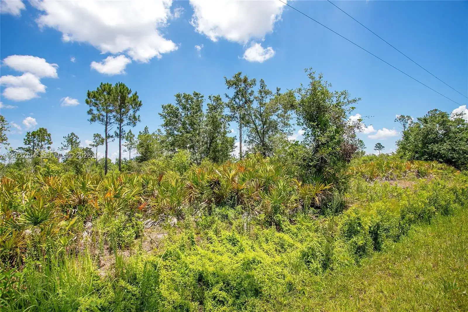 4000 Gerona, Sebring FL 33872 photo 4