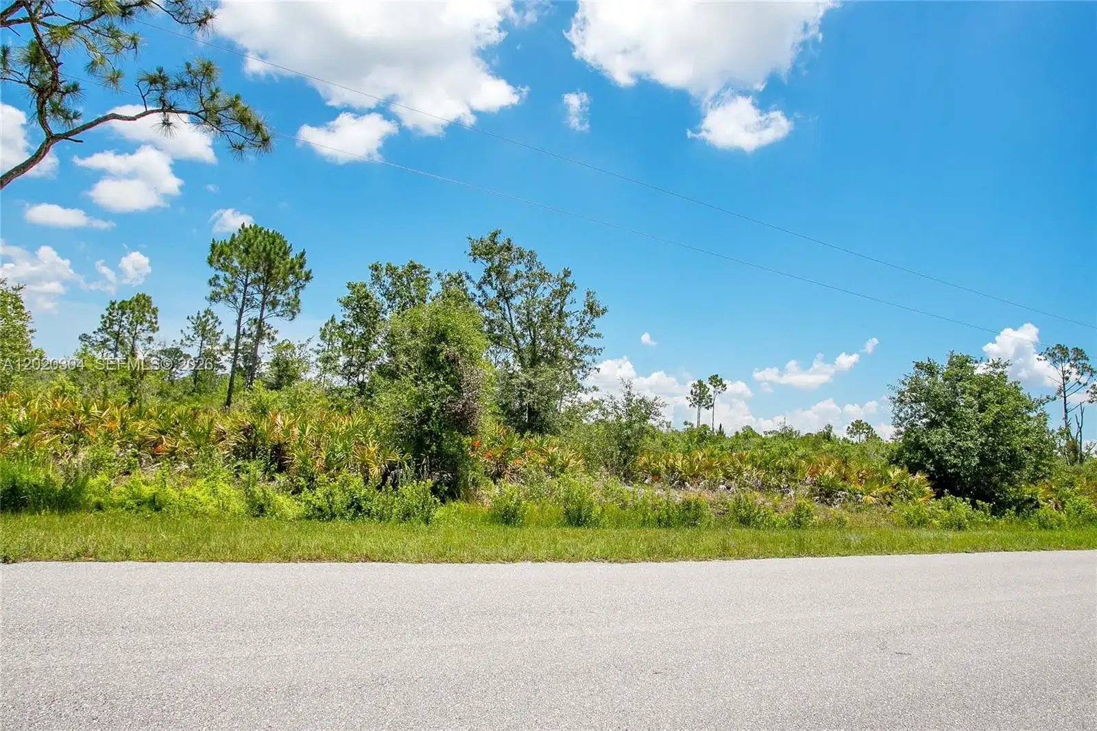 4000 Gerona, Sebring FL 33872 photo 5