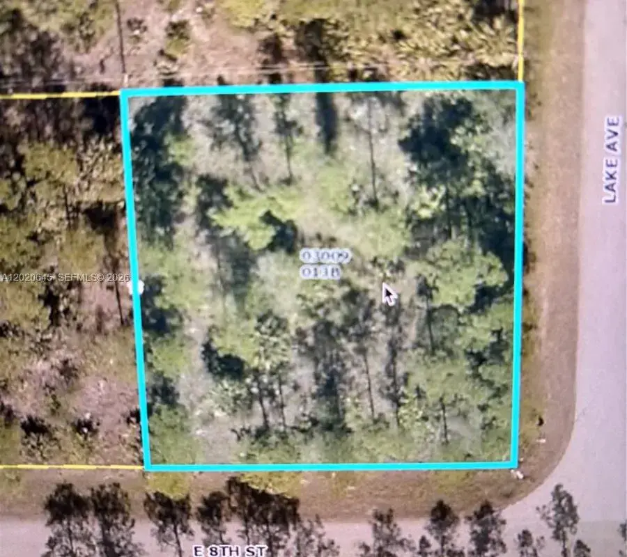 807 8th St E, Lehigh Acres FL 33972