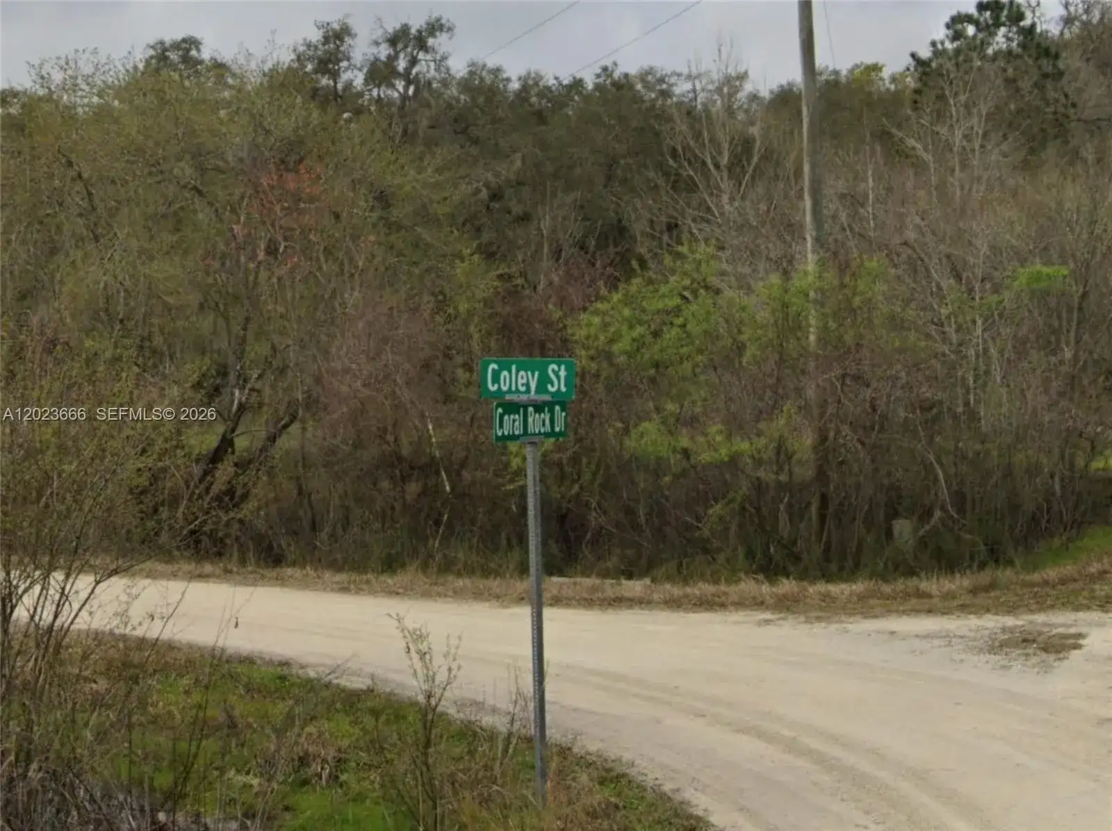 0 Coley St, Other City - In The State Of Florida FL 33697 photo 2