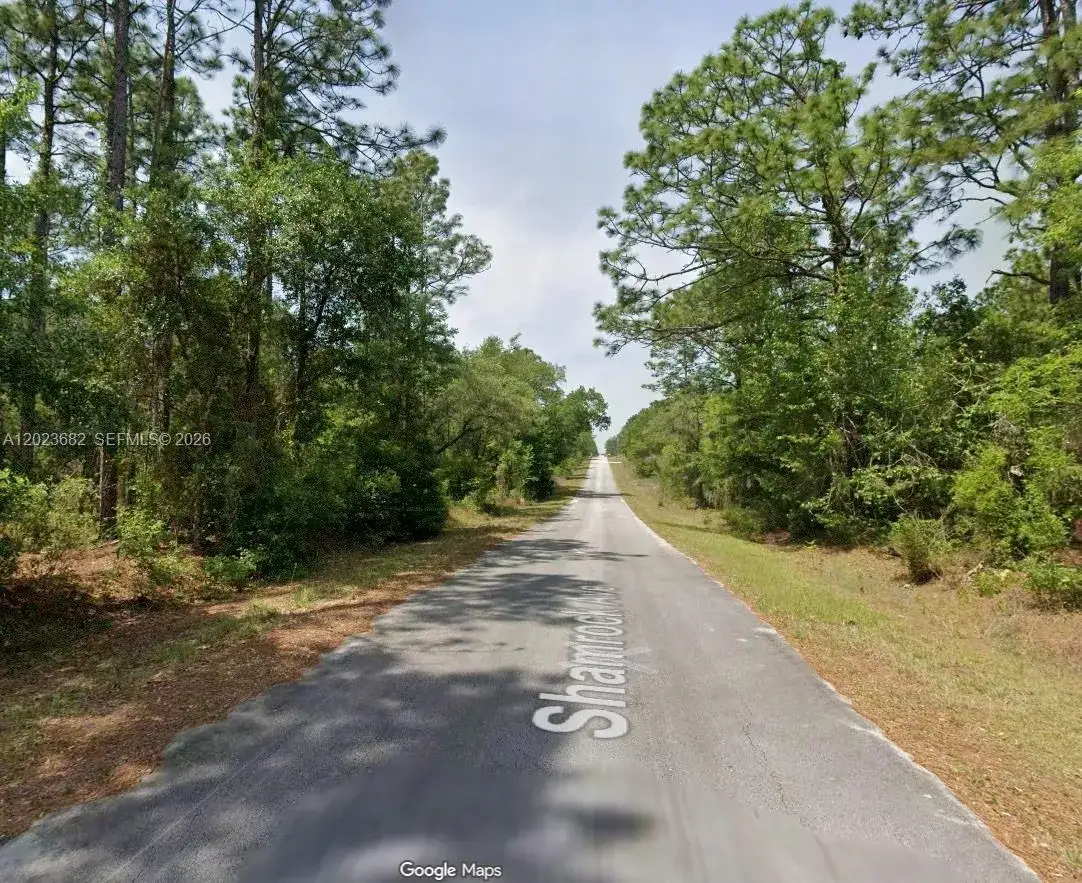 Lot 47 Shamrock Avenue, Other City - In The State Of Florida FL 34431