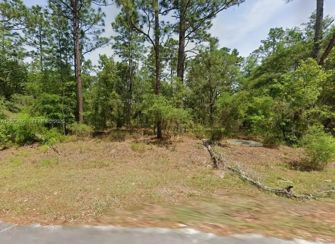 Lot 47 Shamrock Avenue, Other City - In The State Of Florida FL 34431 photo 2