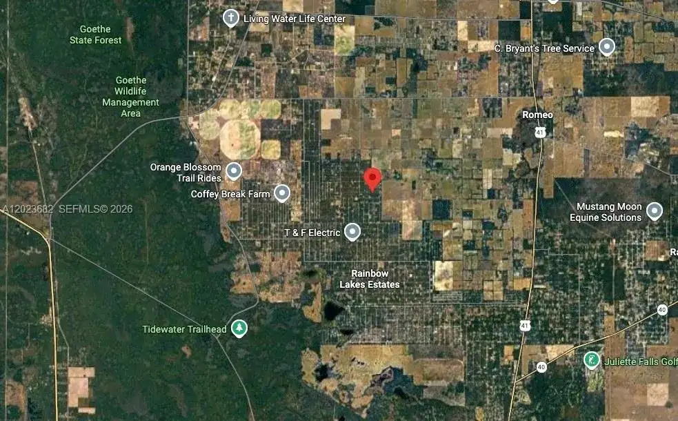 Lot 47 Shamrock Avenue, Other City - In The State Of Florida FL 34431 photo 5