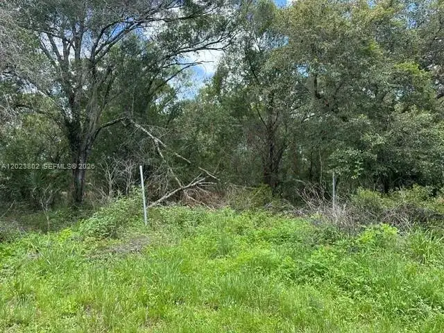 130 S BRIDA, Clewiston FL 33440 photo 3
