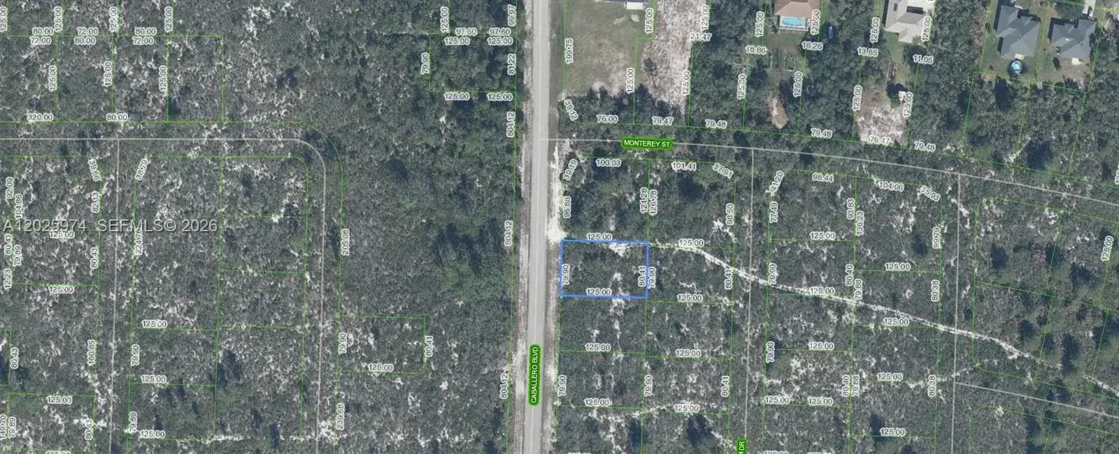 6660 Caballero Blvd, Sebring FL 33872