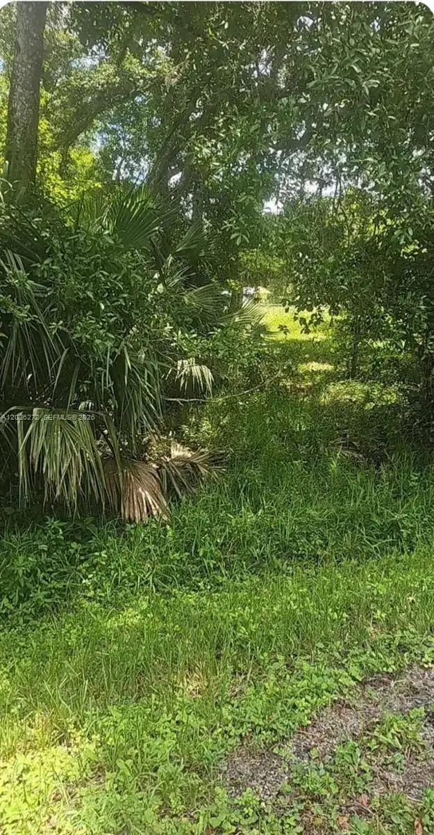 81 Magnolia Ct Okeechobee, Other City - In The State Of Florida FL 34972 photo 5