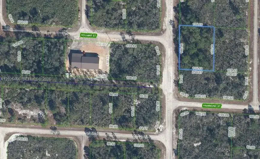 1139 BROOK HOLLOW RD, Lake Placid FL 33852 photo 2