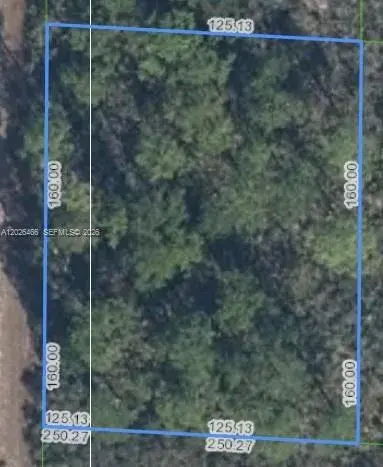 1139 BROOK HOLLOW RD, Lake Placid FL 33852