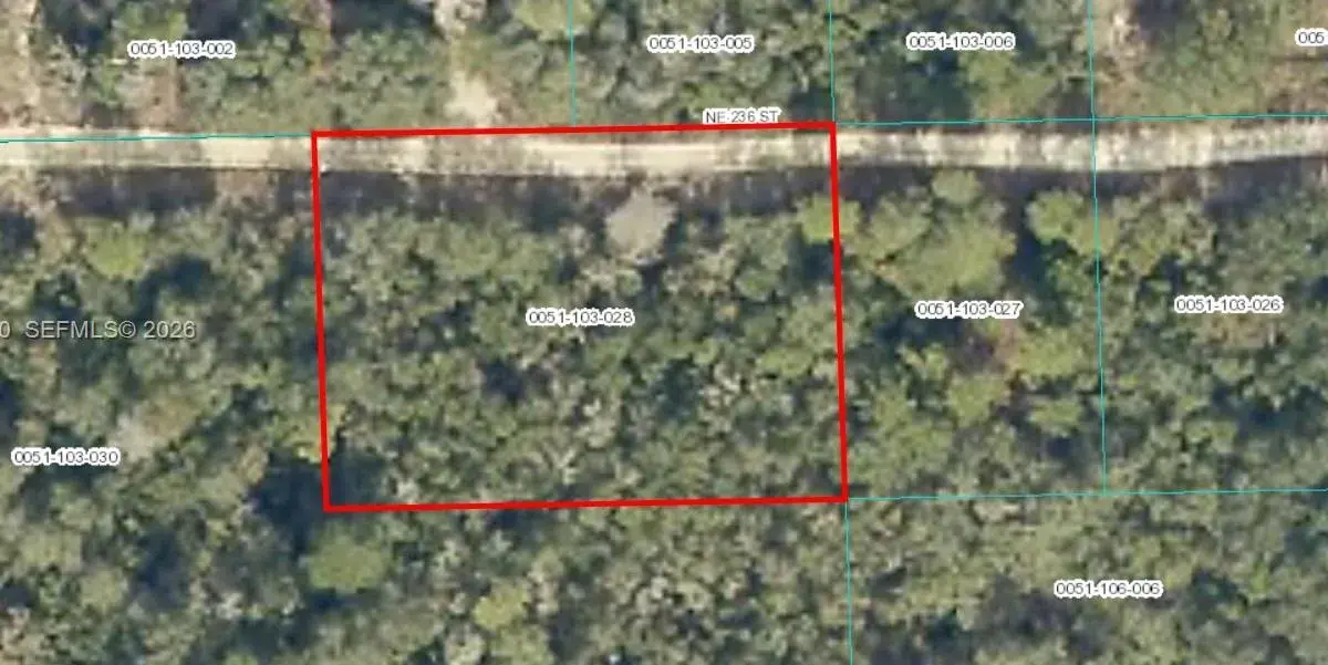 TBD NE 236, Other City - In The State Of Florida FL 32134