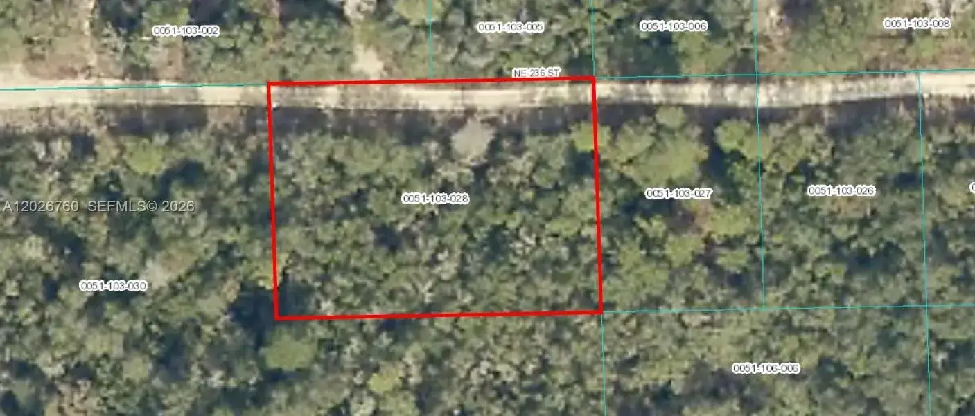 TBD NE 236, Other City - In The State Of Florida FL 32134