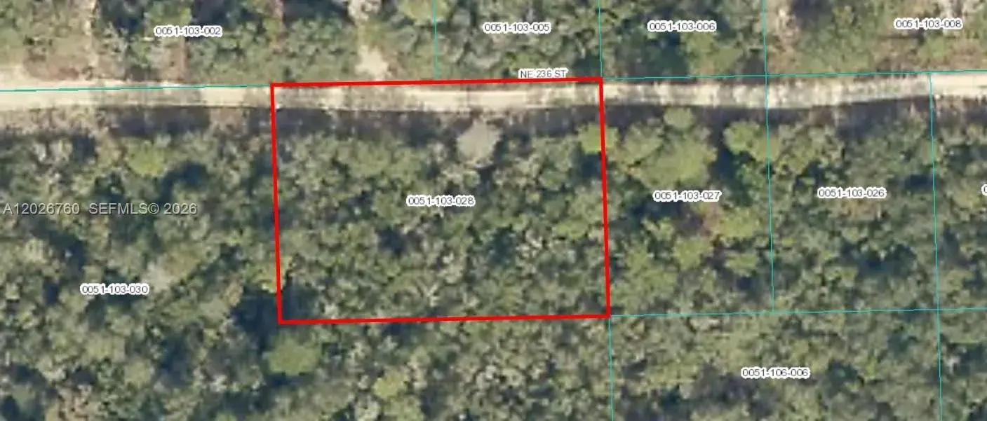 TBD NE 236, Other City - In The State Of Florida FL 32134