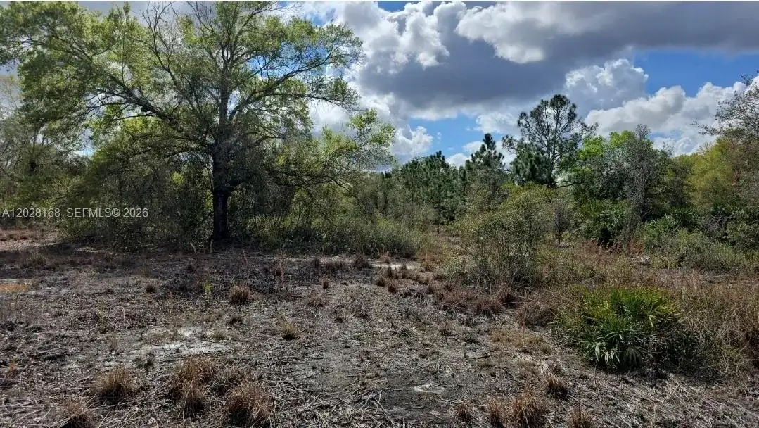 17718 NW 282nd St, Okeechobee FL 34972 photo 2