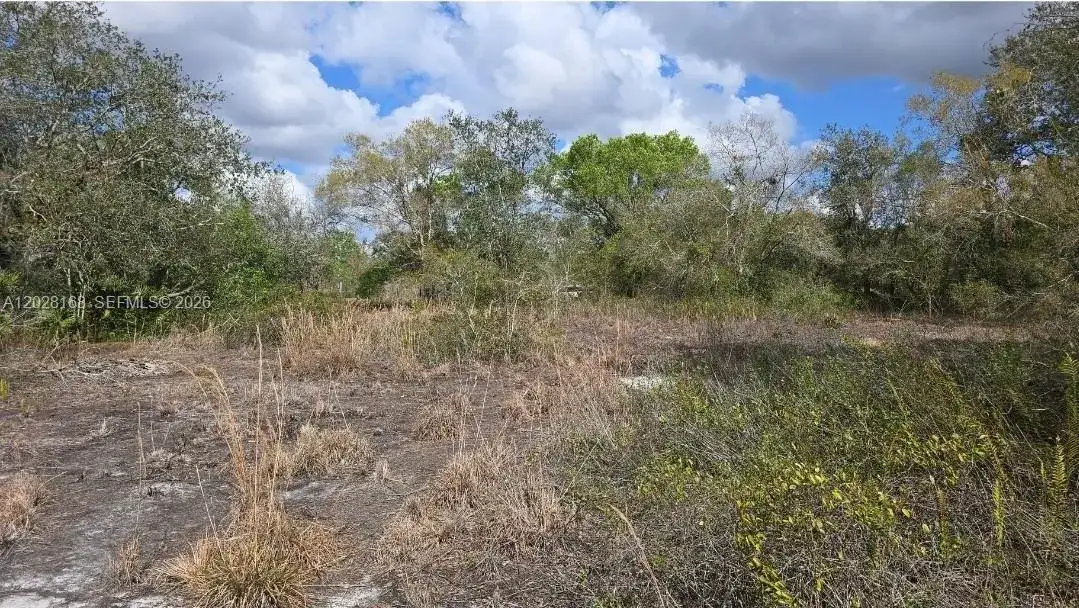 17718 NW 282nd St, Okeechobee FL 34972 photo 3