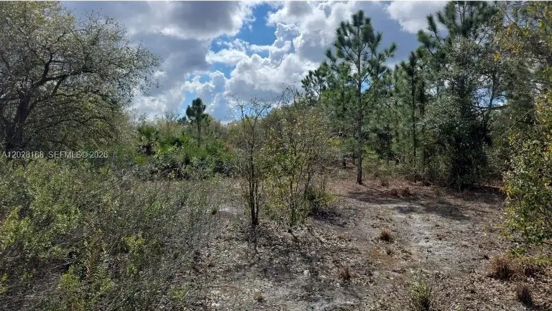 17718 NW 282nd St, Okeechobee FL 34972 photo 4