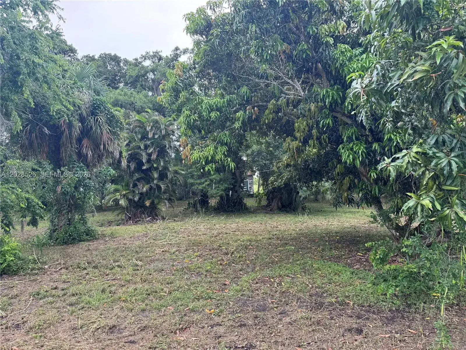 19121 SW Conners Hwy, Port Mayaca FL 33438 photo 4