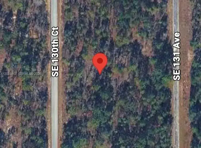Lot 49 SE 130th Ct, Other City - In The State Of Florida FL 34431 photo 2