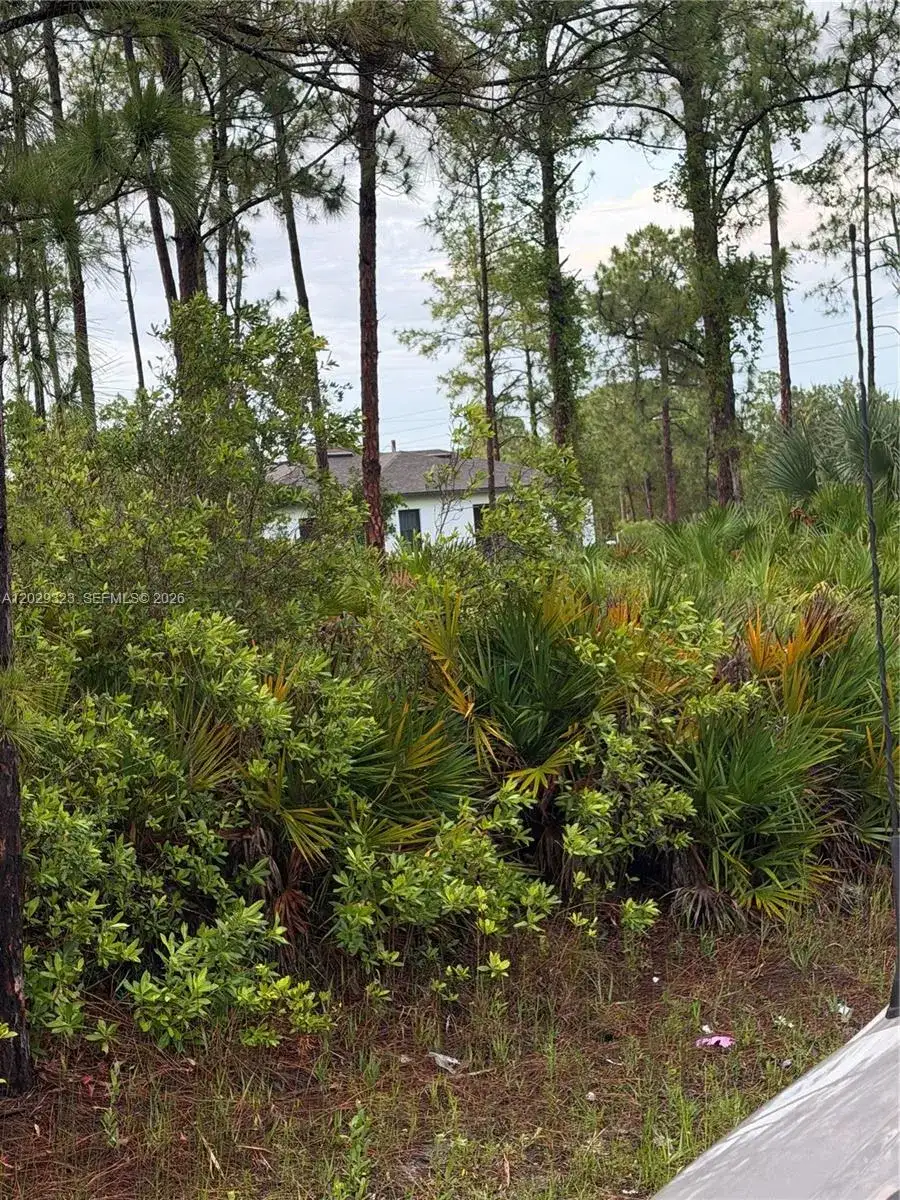 3204 32 ST W, Lehigh Acres FL 33971 photo 3