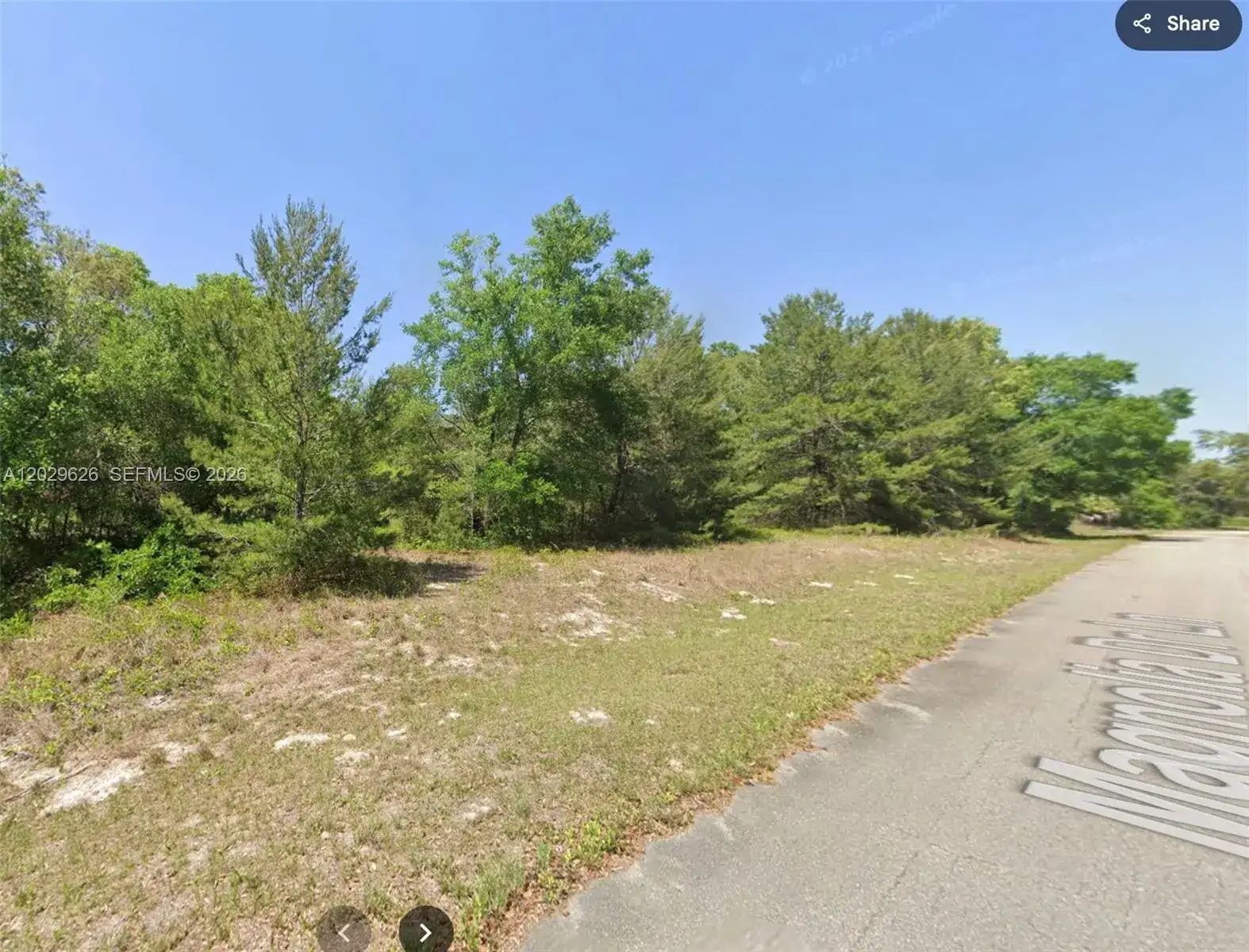n/a SE Magnolia Drive Ln, Other City - In The State Of Florida FL 32179 photo 3