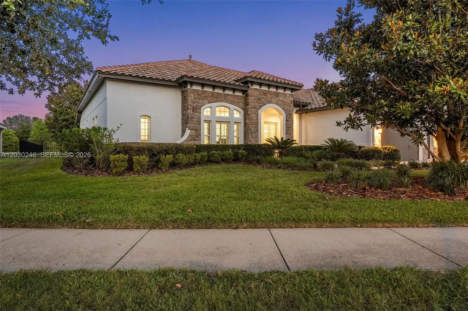 17425 Varona Pl, Lutz FL 33548 photo 3