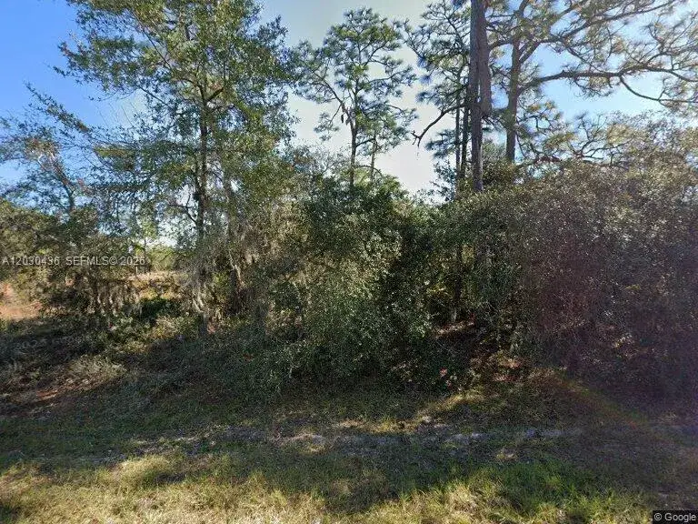 1334 ST Augustine Court, Other City - In The State Of Florida FL 34759