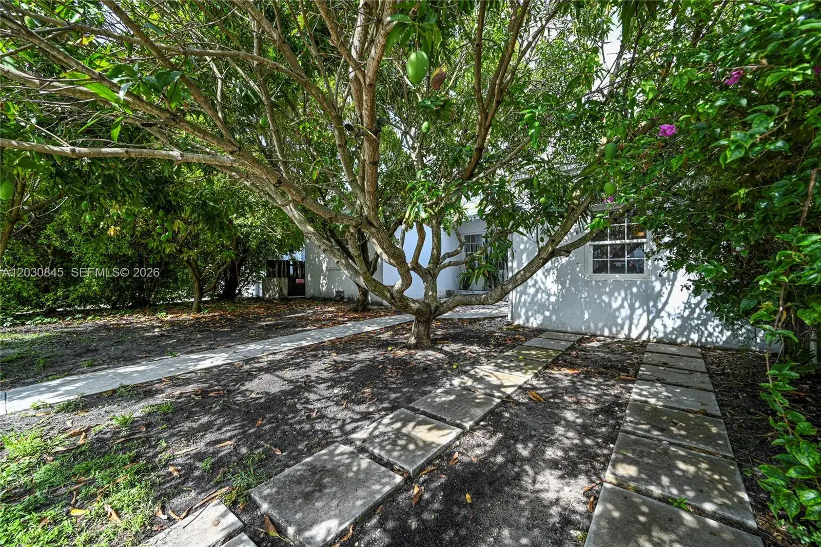 8942 Carlyle Ave, Surfside FL 33154 photo 3