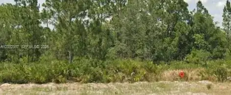 3011 W Dixon Rd, Avon Park FL 33825 photo 2