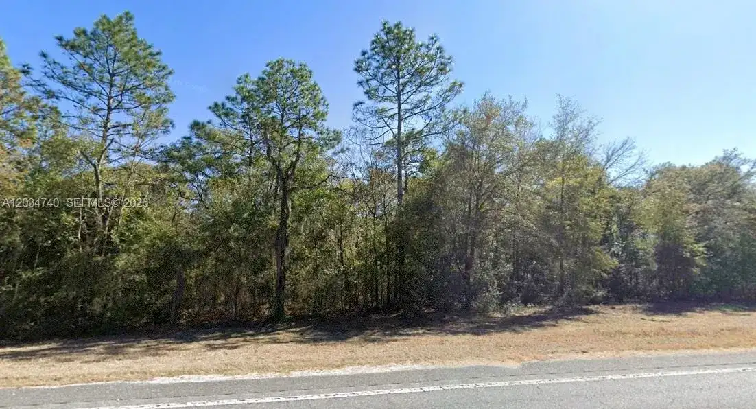 Lot 2 STR 121, Williston FL 32696 photo 2
