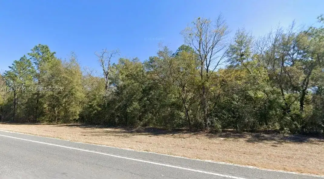 Lot 2 STR 121, Williston FL 32696 photo 3