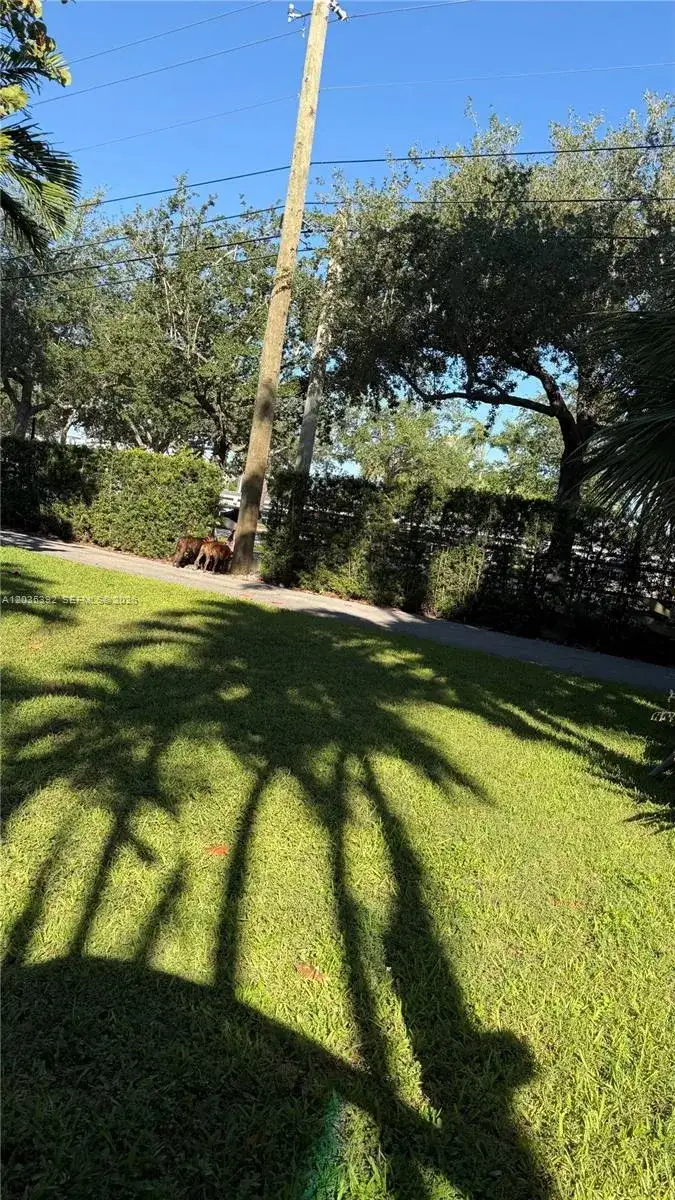 10115 Biscayne Blvd, Miami Shores FL 33138 photo 4
