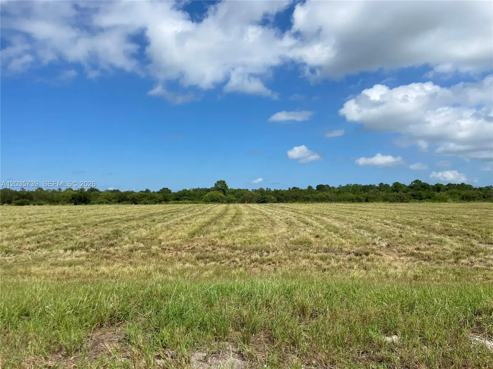 Christopher Lane, Clewiston FL 33440 photo 2