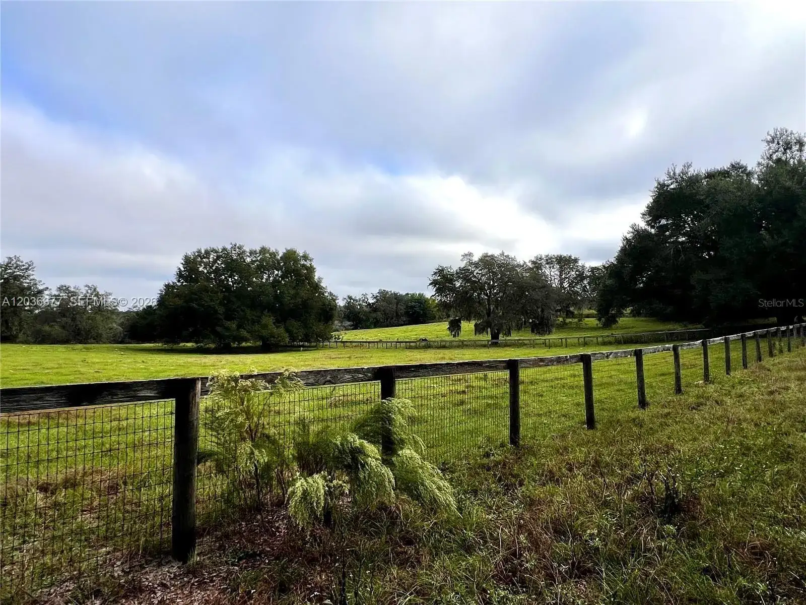XXXXX MICRO RACETRACK RD, Other City - In The State Of Florida FL 34731 photo 4