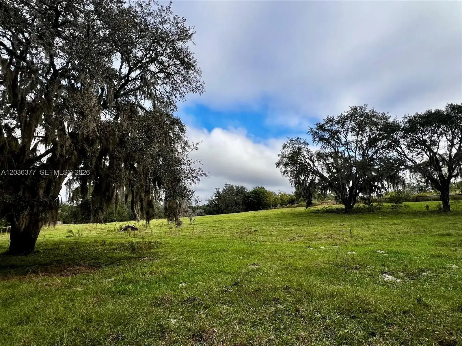 XXXXX MICRO RACETRACK RD, Other City - In The State Of Florida FL 34731 photo 5