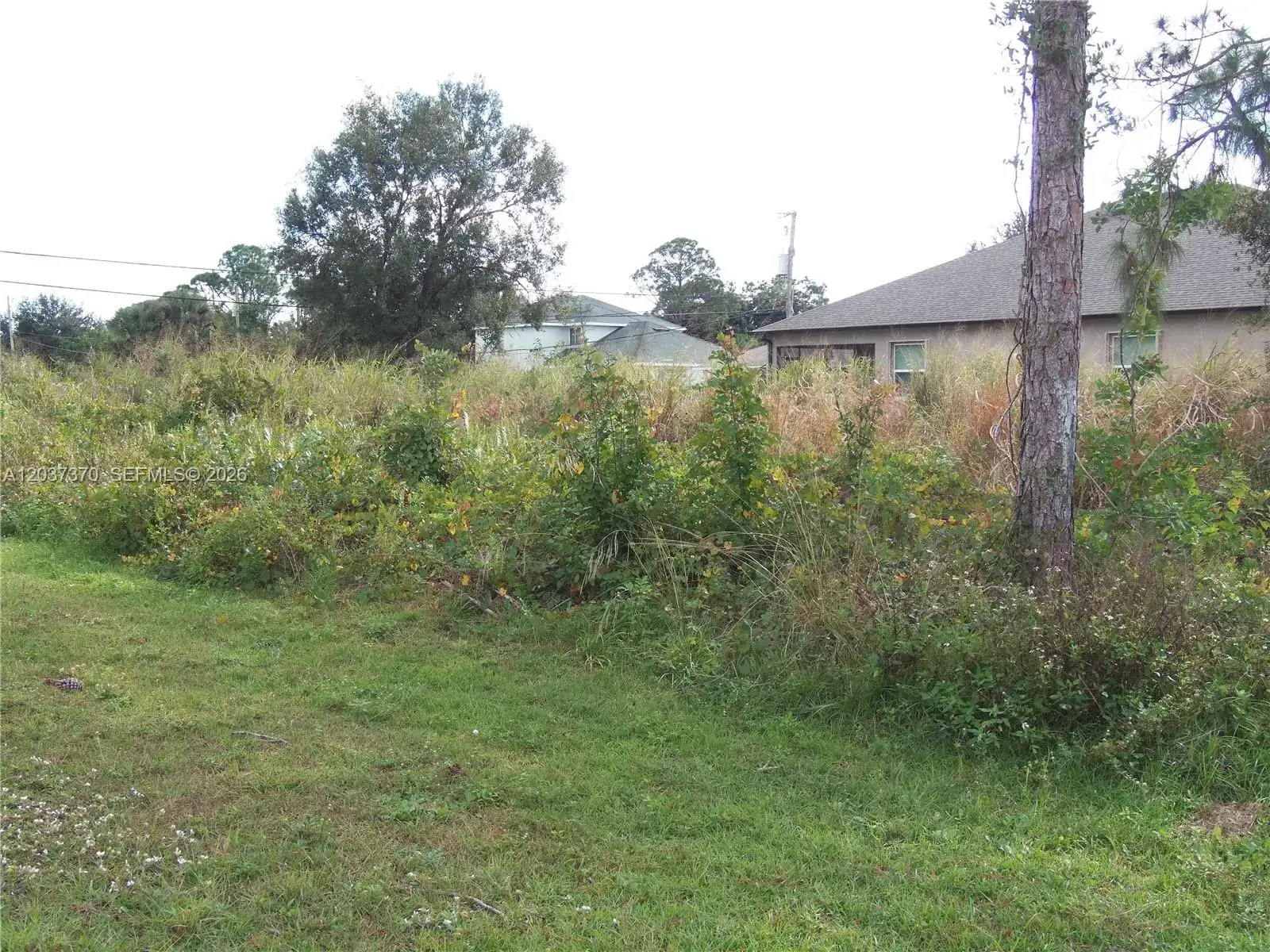 4149 SW Bamberg St, Port St. Lucie FL 34953 photo 3