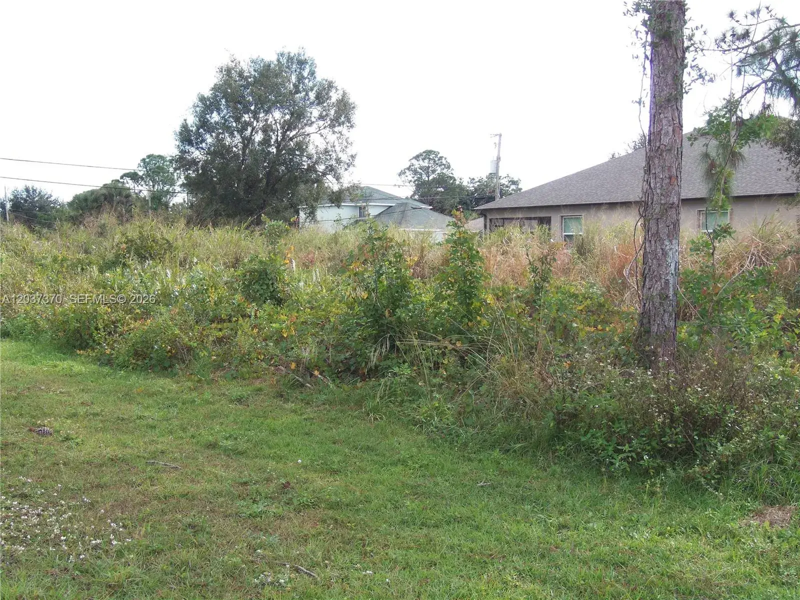 4149 SW Bamberg St, Port St. Lucie FL 34953