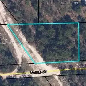 6060 FURMAN, Other City - In The State Of Florida FL 32656 photo 4