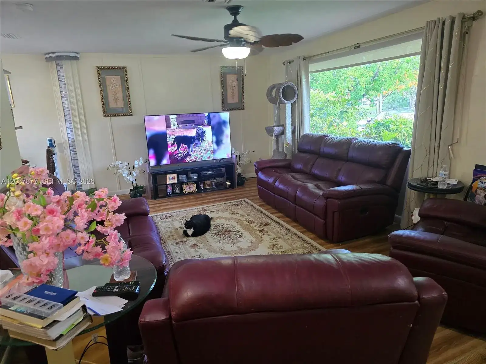 19500 SW 87th Ave, Cutler Bay FL 33157 photo 3