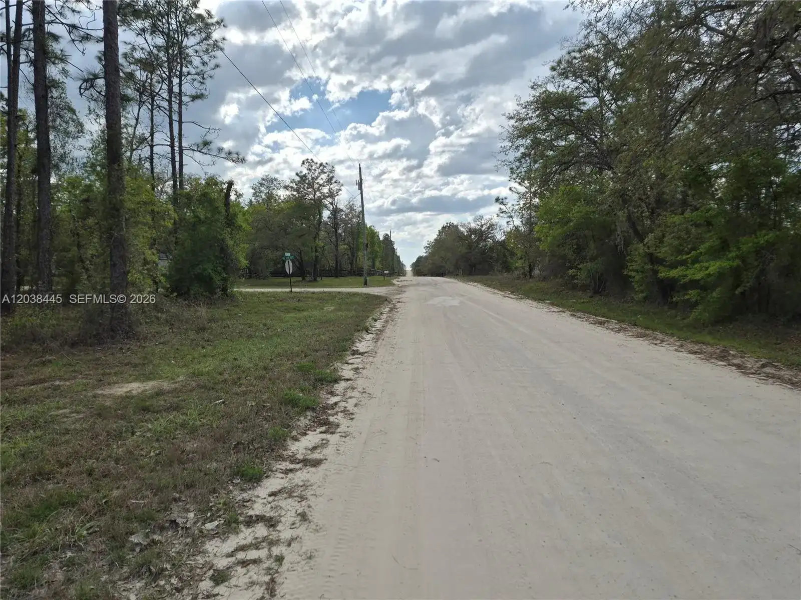 00 NE 4 ST, Williston FL 32696 photo 2