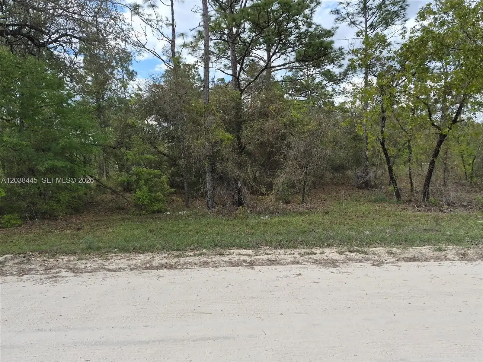 00 NE 4 ST, Williston FL 32696 photo 4