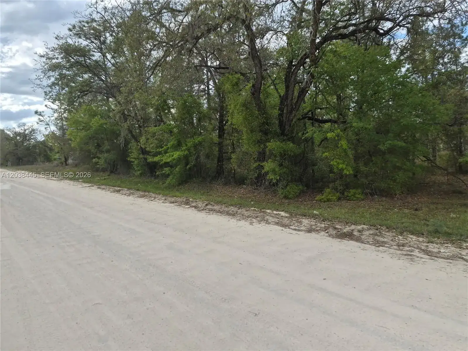 00 NE 4 ST, Williston FL 32696 photo 5