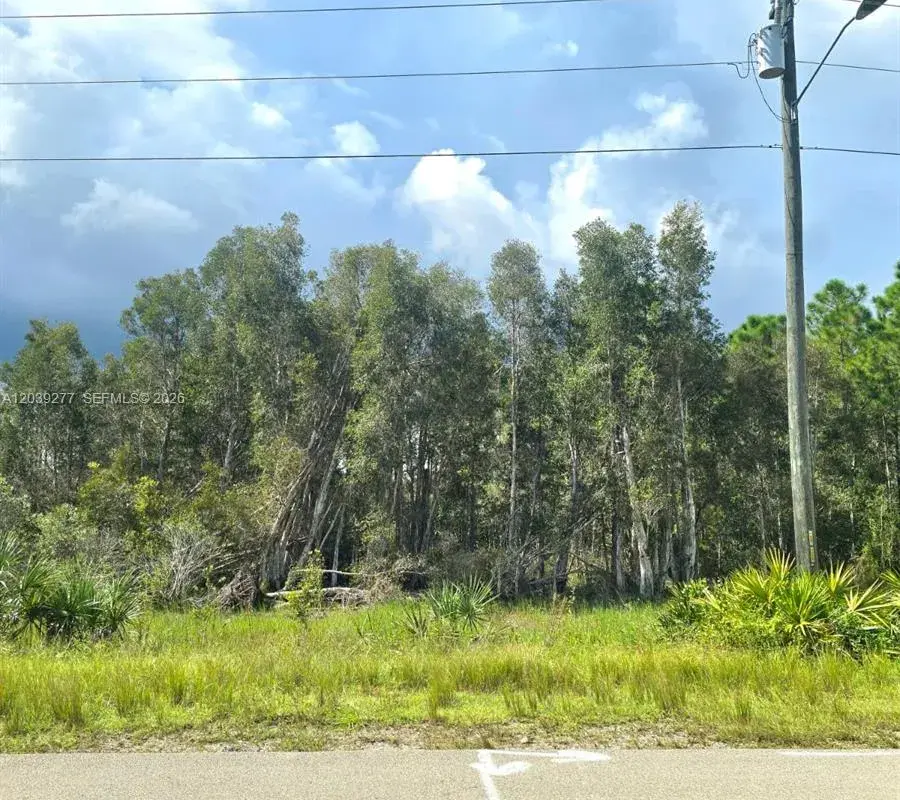 2650 Meadow RD, Lehigh Acres FL 33974