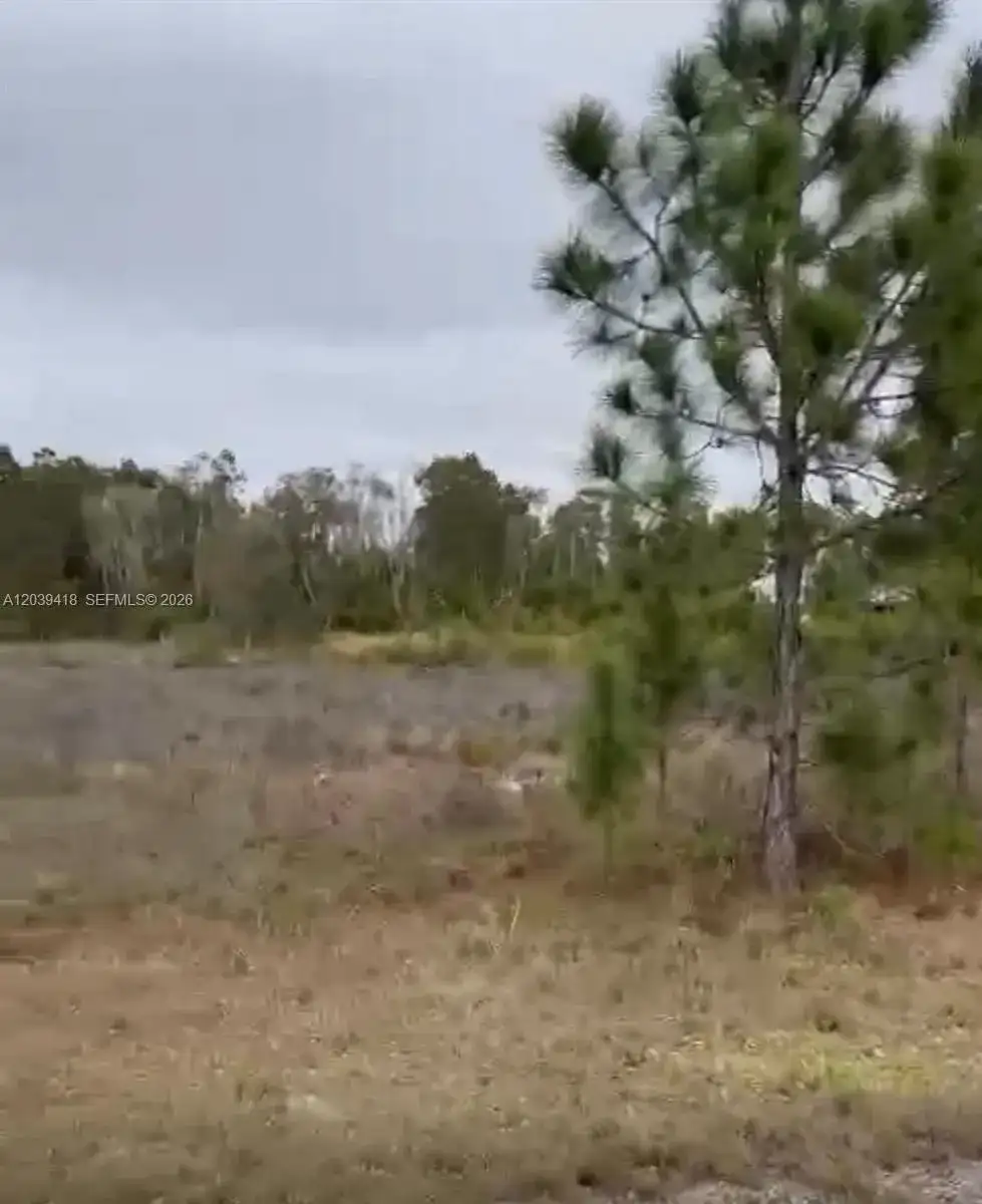 741 Bobolink Ave, Other City - In The State Of Florida FL 33974 photo 2