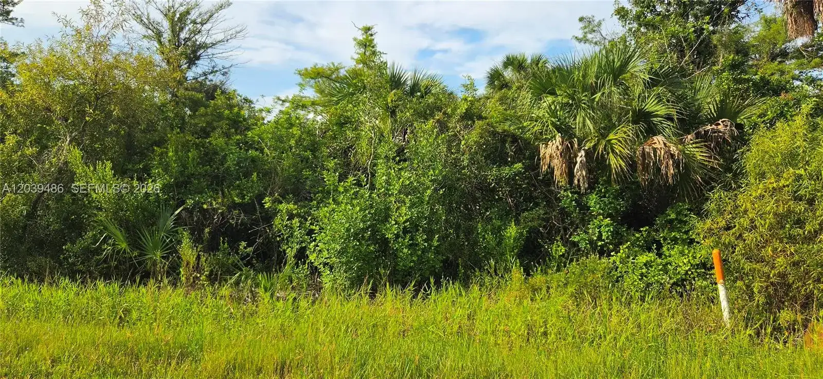 XXXX NE 45TH ave, Naples FL 34120 photo 4