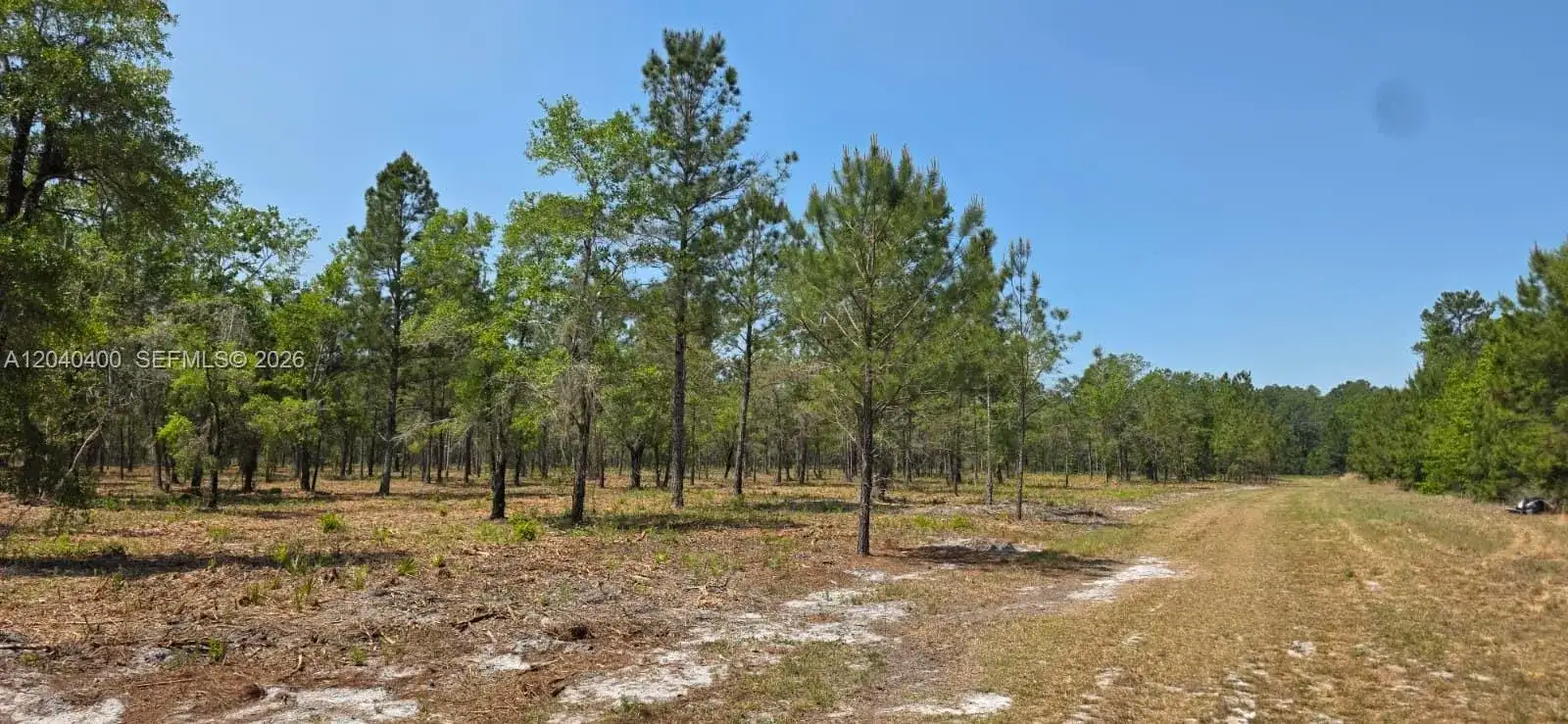 xx SE 225th Dr, Other City - In The State Of Florida FL 32640 photo 3