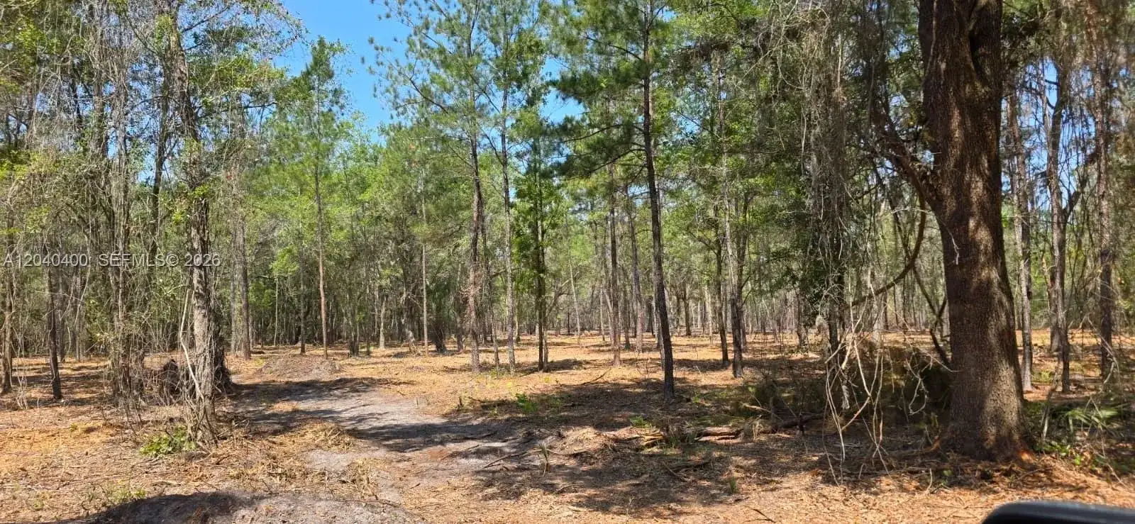 xx SE 225th Dr, Other City - In The State Of Florida FL 32640 photo 4