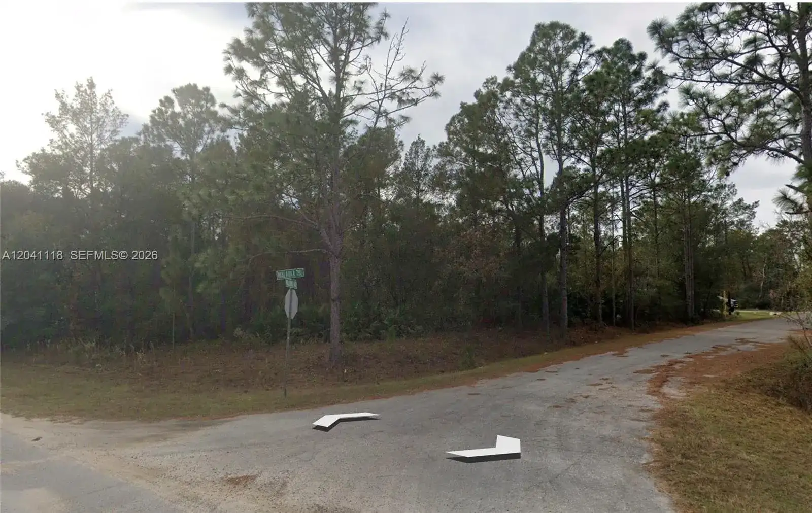 0 Malauka Trl, Other City - In The State Of Florida FL 32179 photo 3