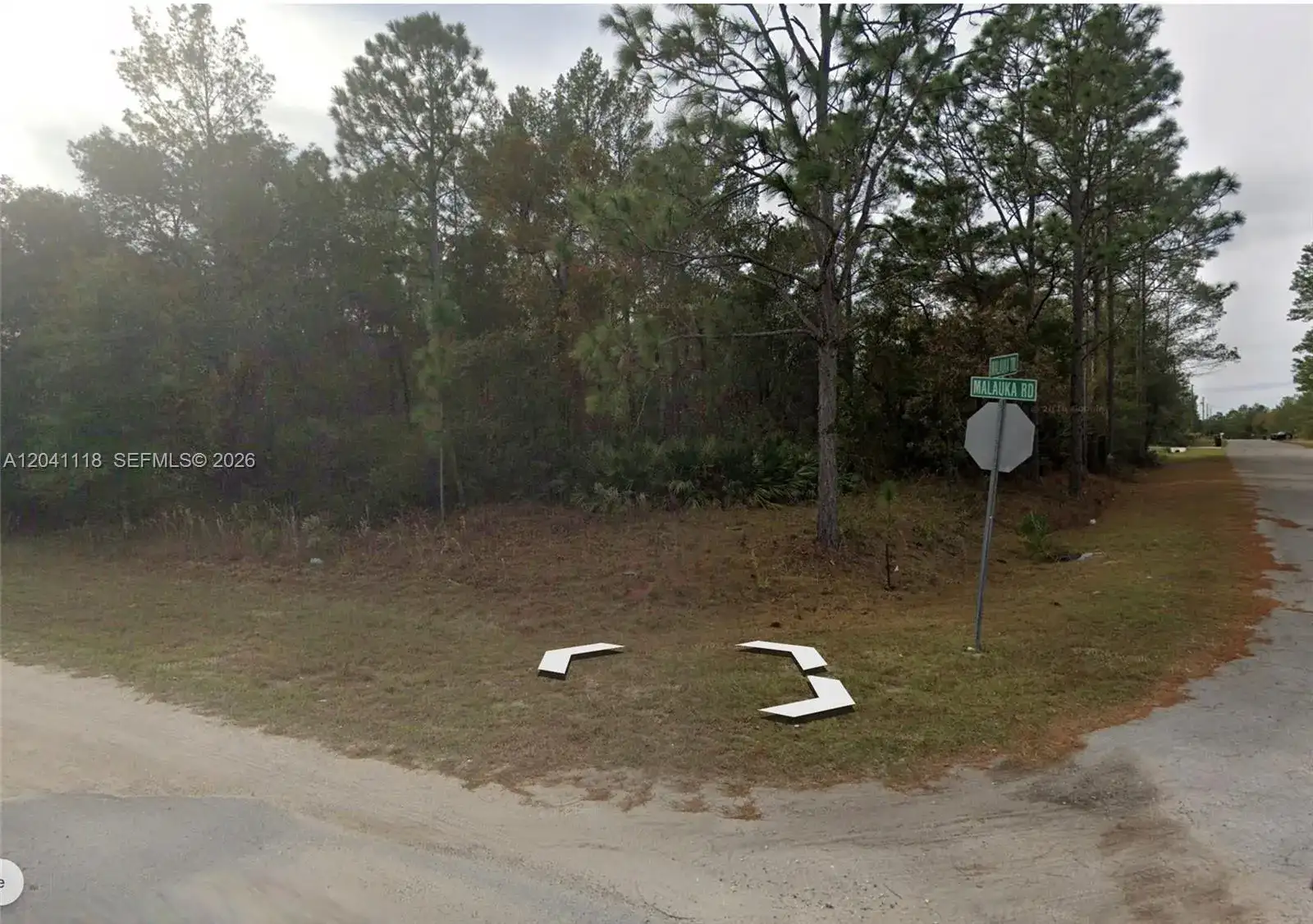 0 Malauka Trl, Other City - In The State Of Florida FL 32179 photo 4