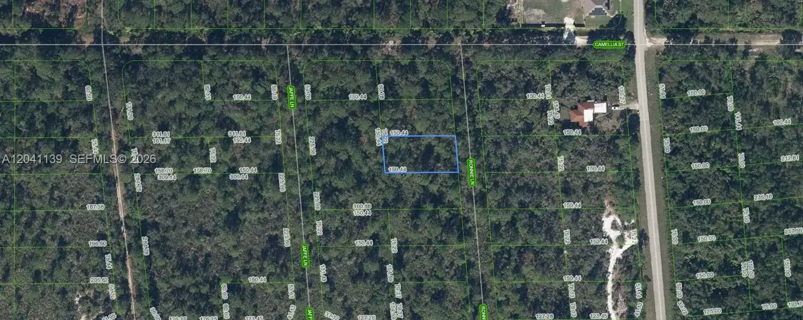 722 Ronnie Lane, Lake Placid FL 33852