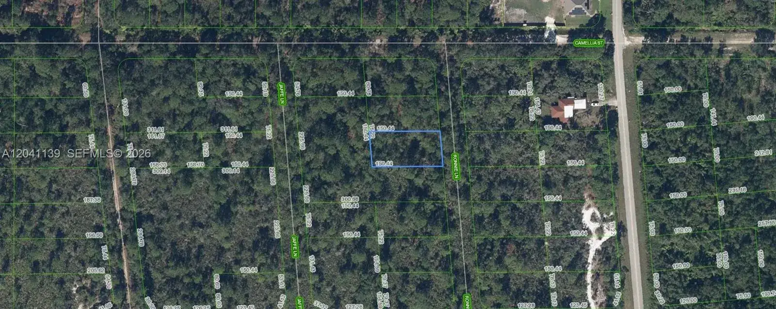 722 Ronnie Lane, Lake Placid FL 33852