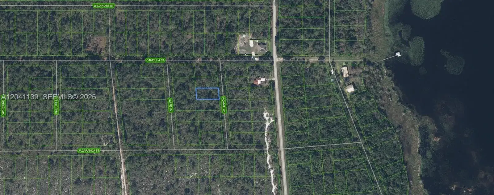 722 Ronnie Lane, Lake Placid FL 33852 photo 2